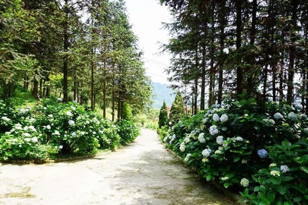 FB_IMG_1473919979764